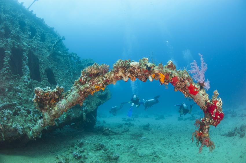 SS Turkia