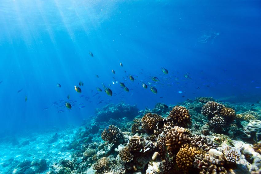 Noonu Atoll
