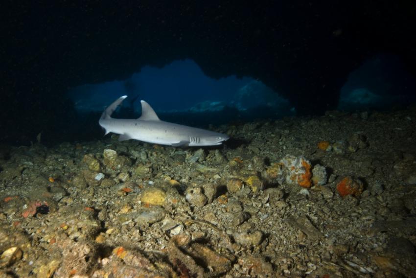 Gato Island - The Cave