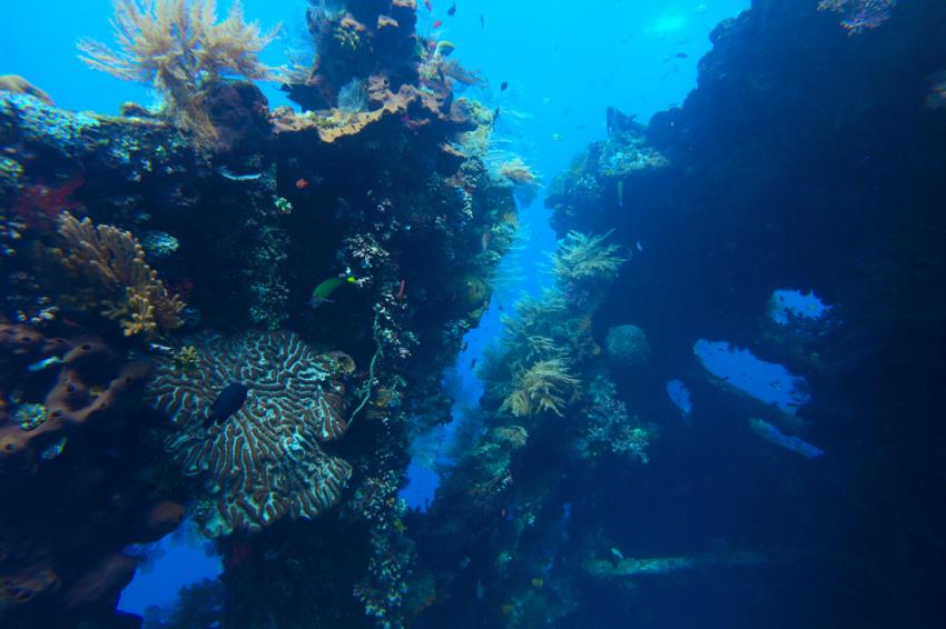 Gili Raja Wreck