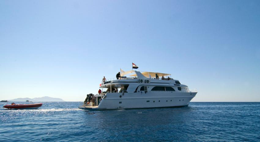 Freedom III Liveaboard