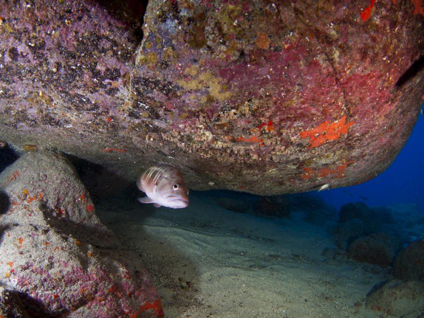La Cueva de los Ingleses