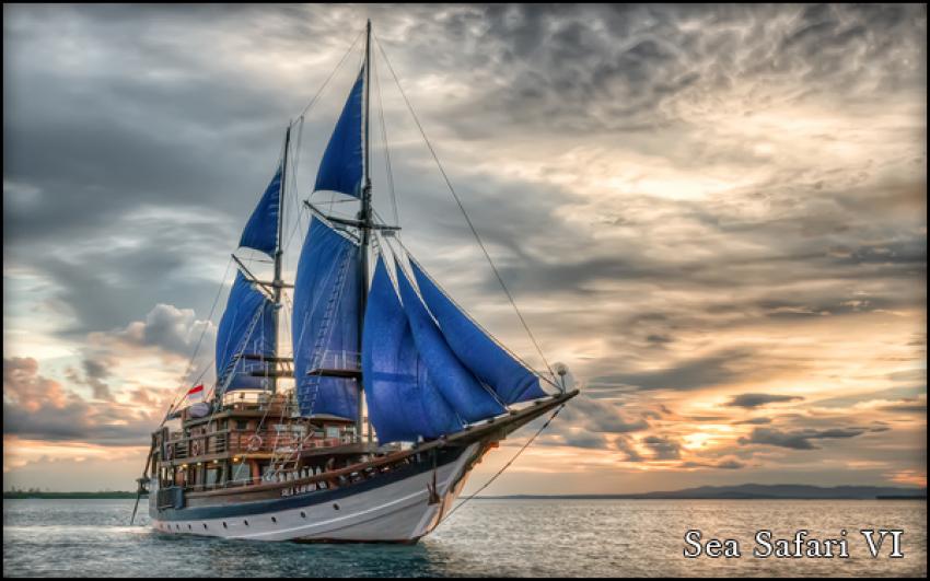 Sea Safari 6 Liveaboard