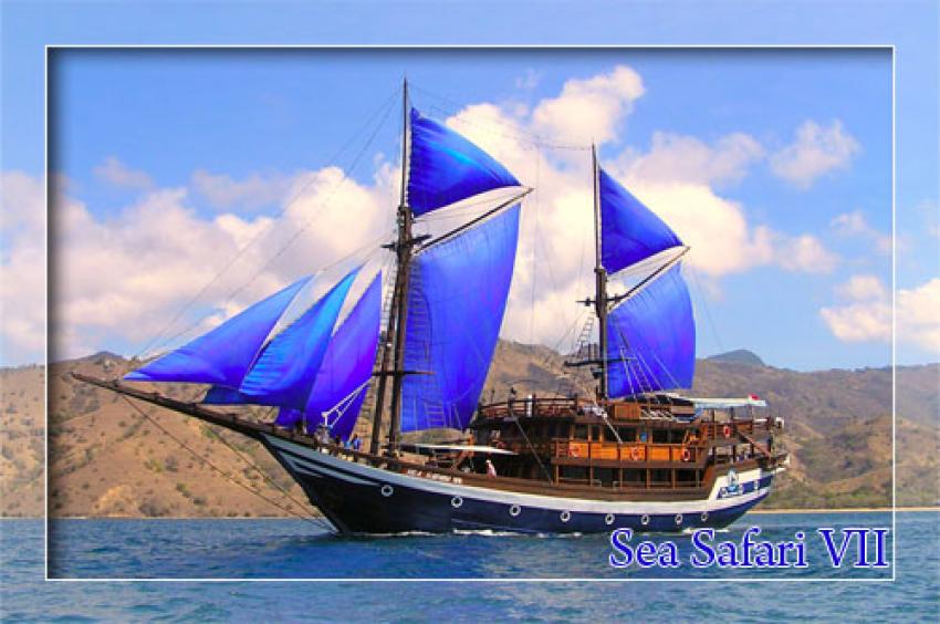 Sea Safari 7 Liveaboard
