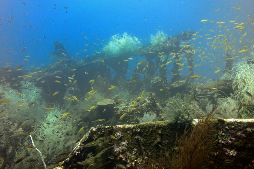 Sudong Wreck
