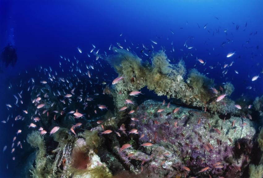 Panorama Reef