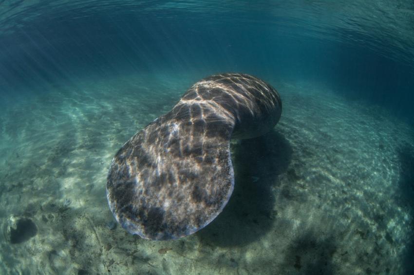 Three Sisters Springs