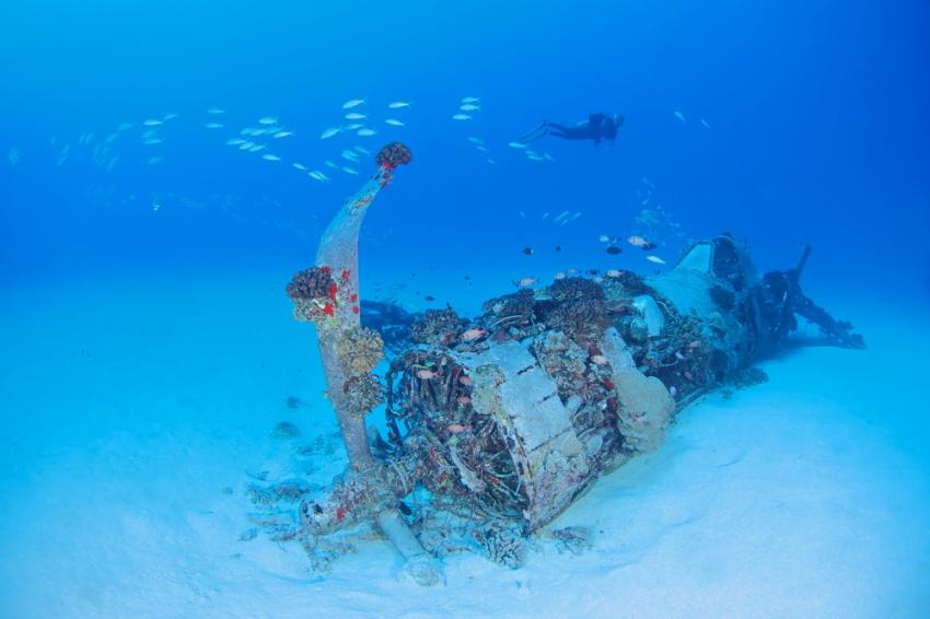 Corsair Wreck