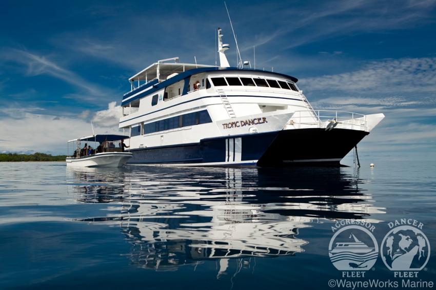 Palau liveaboard diving | Palau liveaboards