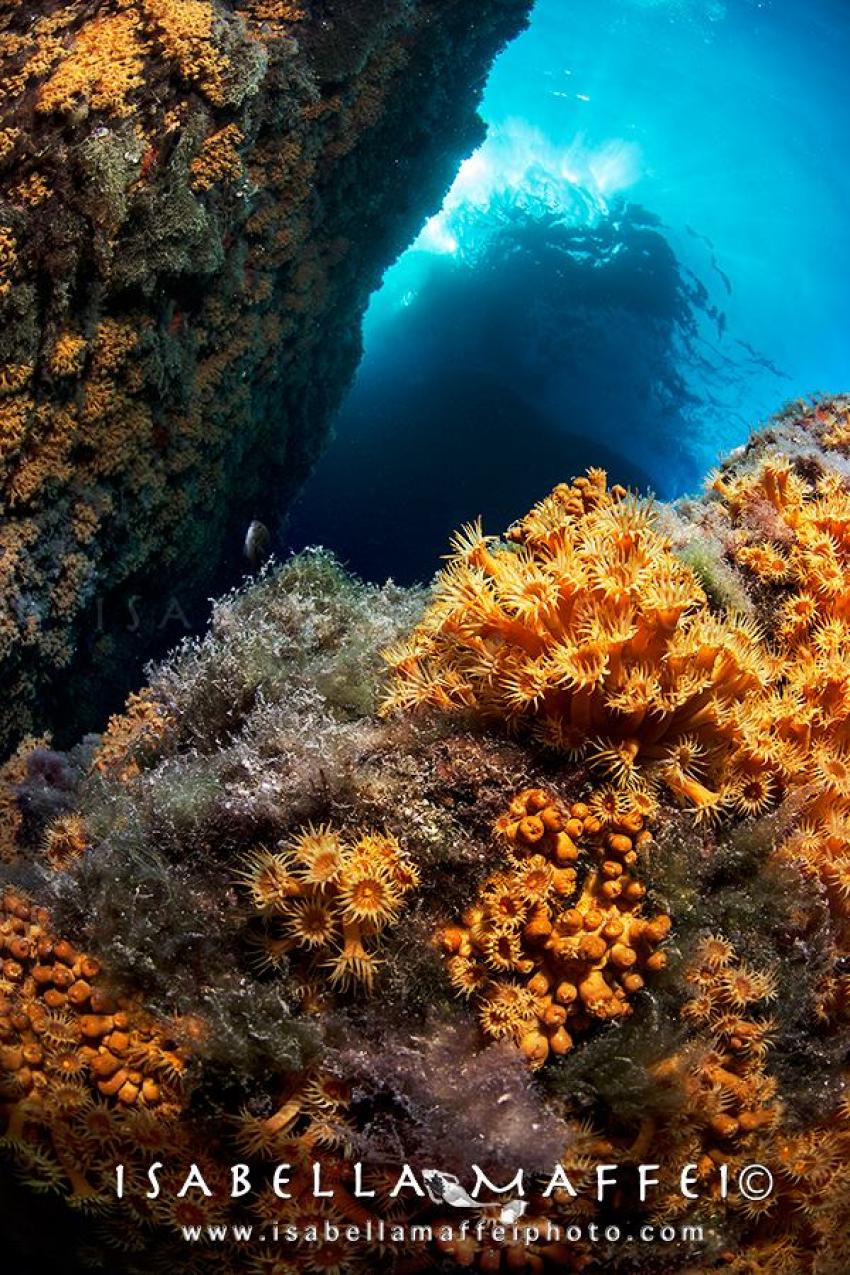 Punta della Torretta