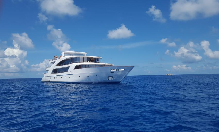 Carpe Novo Liveaboard