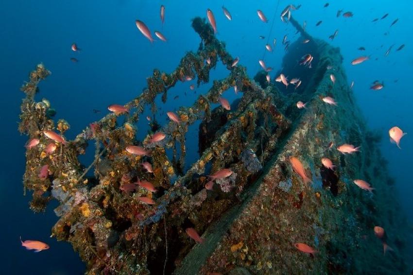Taranto Wreck