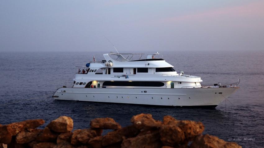 Nouran Liveaboard