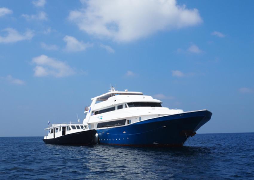 Maldives Master (Blue Voyager) Liveaboard