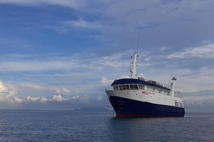 Solomon PNG Master (Taka) Liveaboard