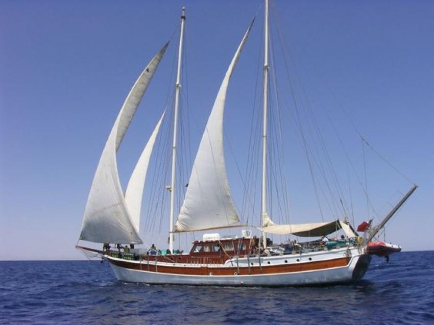Elegante Liveaboard
