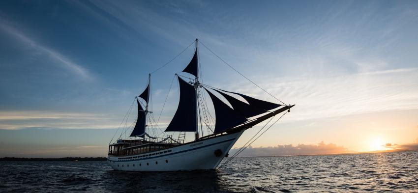 Samambaia Liveaboard