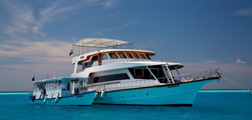 Sheena Liveaboard