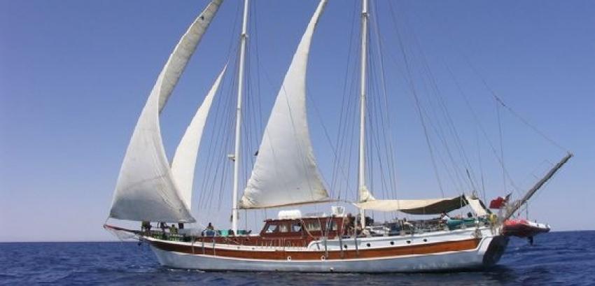 Elegante Liveaboard
