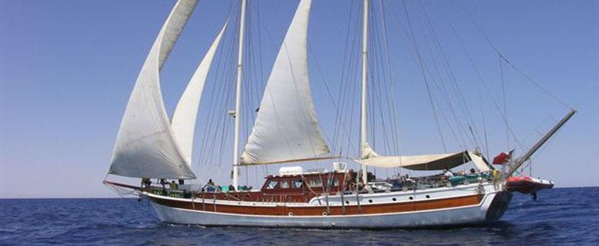 Elegante Liveaboard
