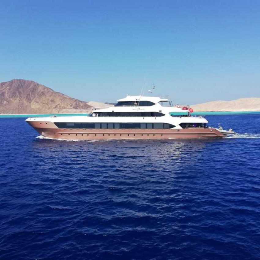 Hammerhead II Liveaboard
