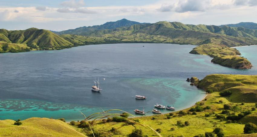 LIVEABOARD DIVING IN Indonesia