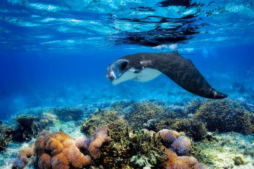 Komodo National Park