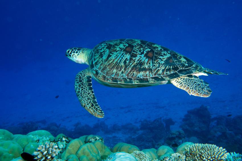 Addu Atoll