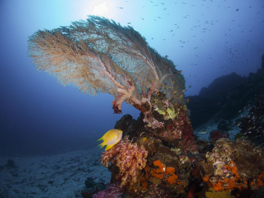Surin Islands