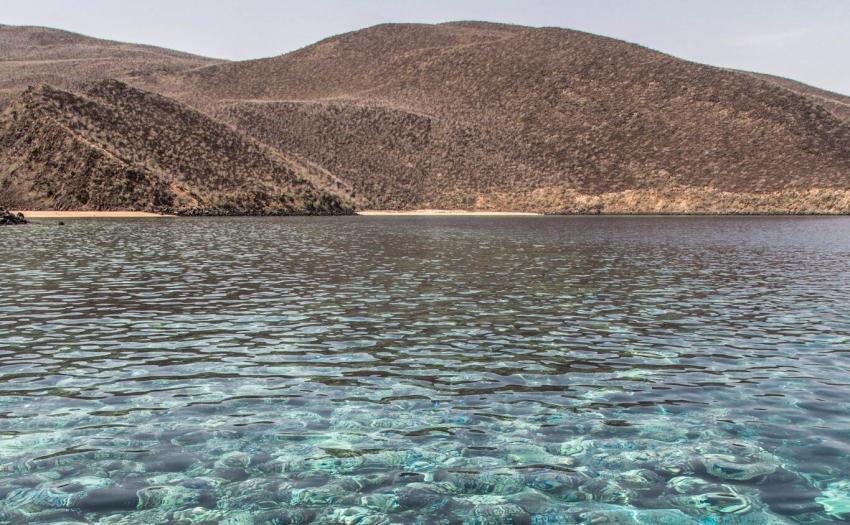 LIVEABOARD DIVING IN Djibouti