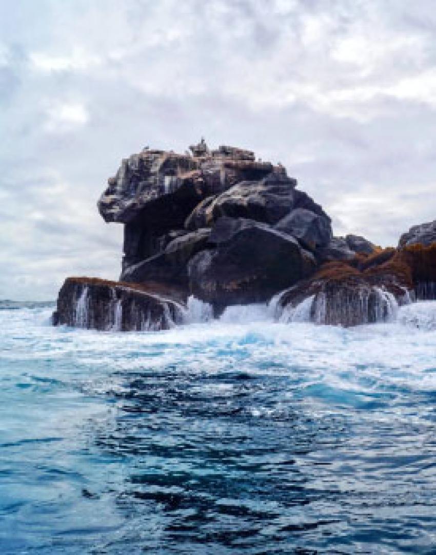 Galapagos