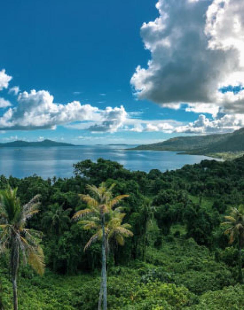Micronesia (Truk Lagoon)
