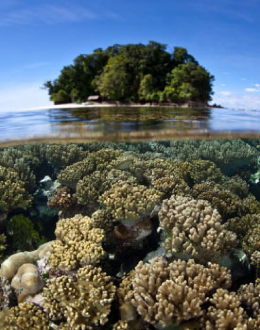 Solomon Islands