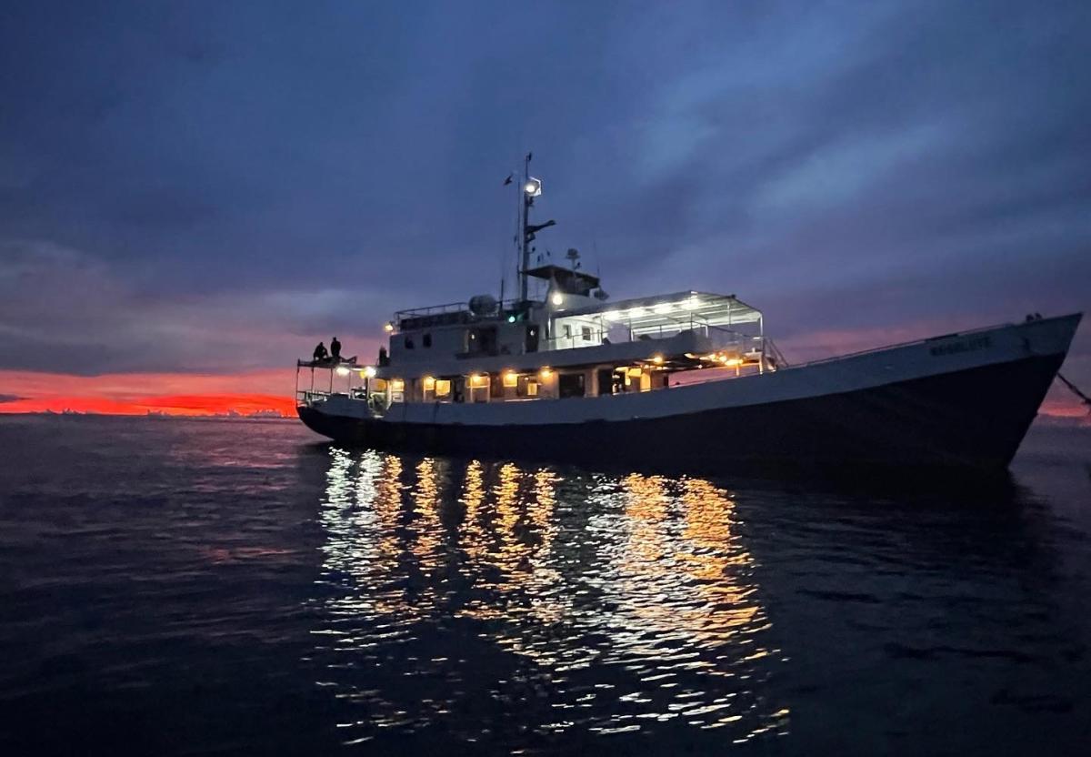 https://media.divebooker.com/media/liveaboard/resolute/images/w1200/1677579344ff3084aaea0e398eac5df4f2d5a0dae3.JPG