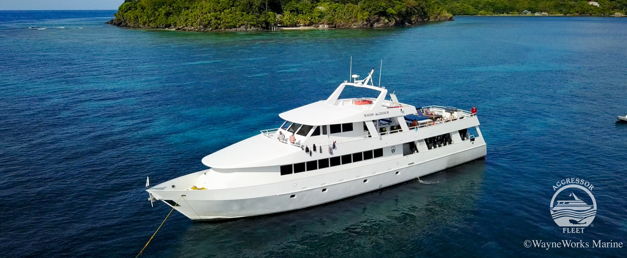 Roatan Aggressor